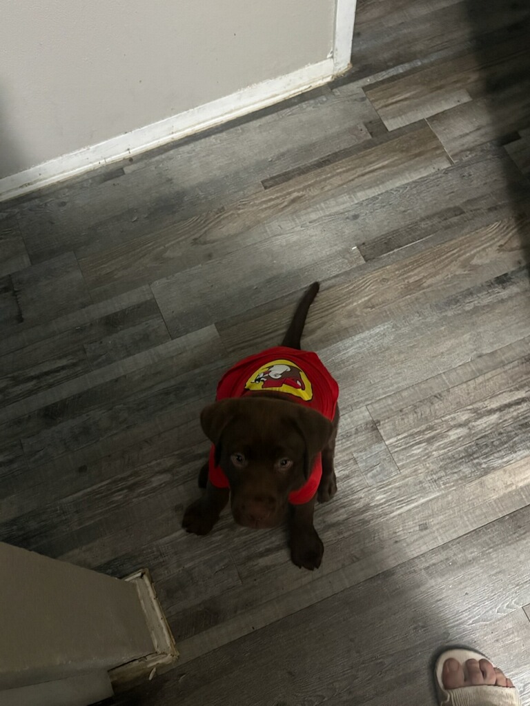 REX