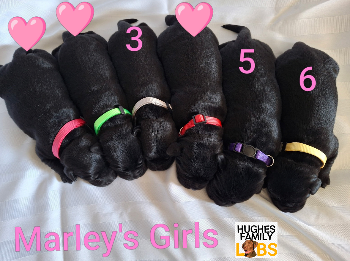 Marly Girls watermarked