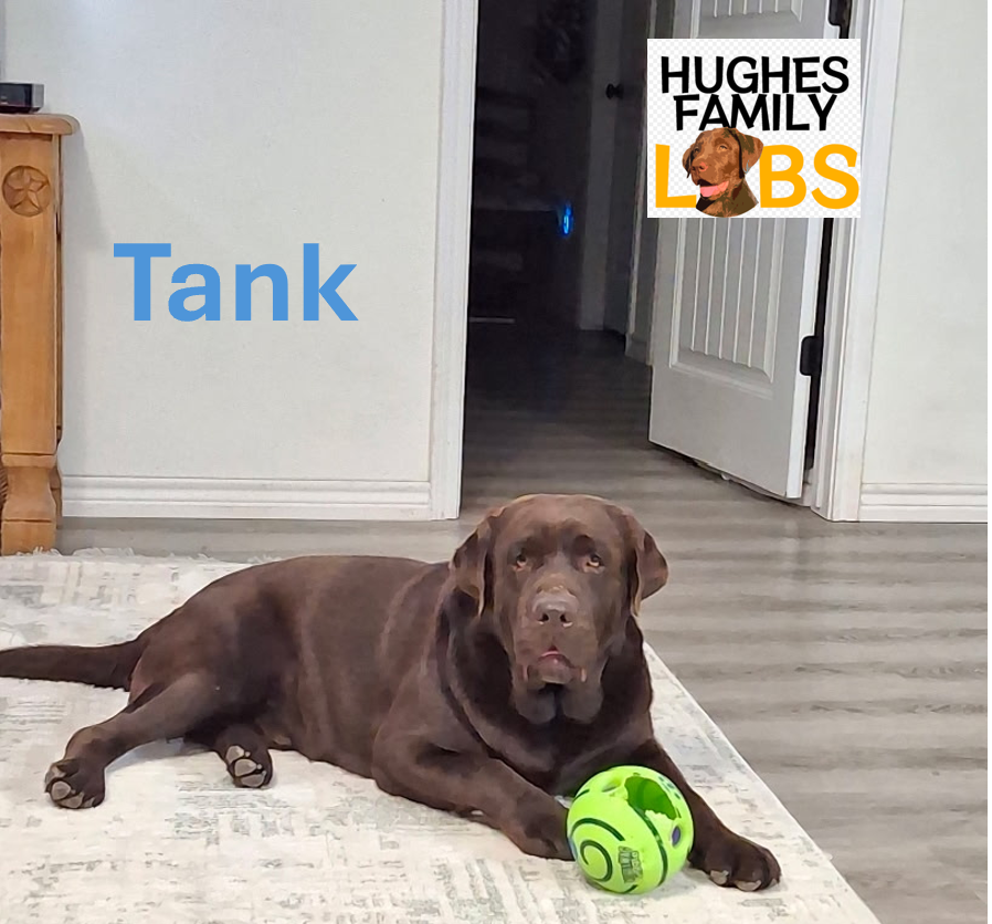 Tank Watermark